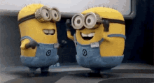 tenor (1).gif